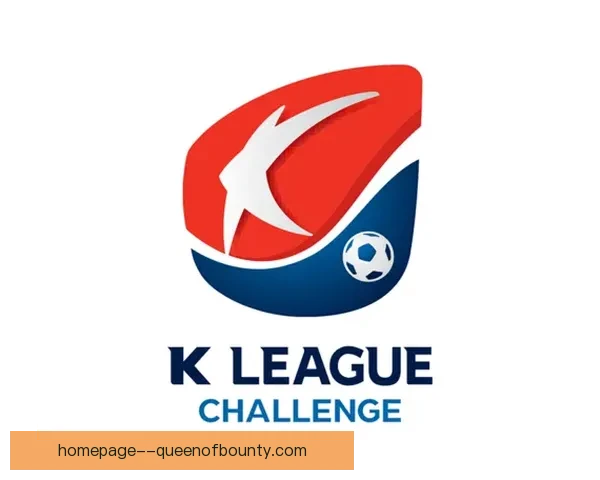 中国足协职业联赛财务审计与管理规范深化研究